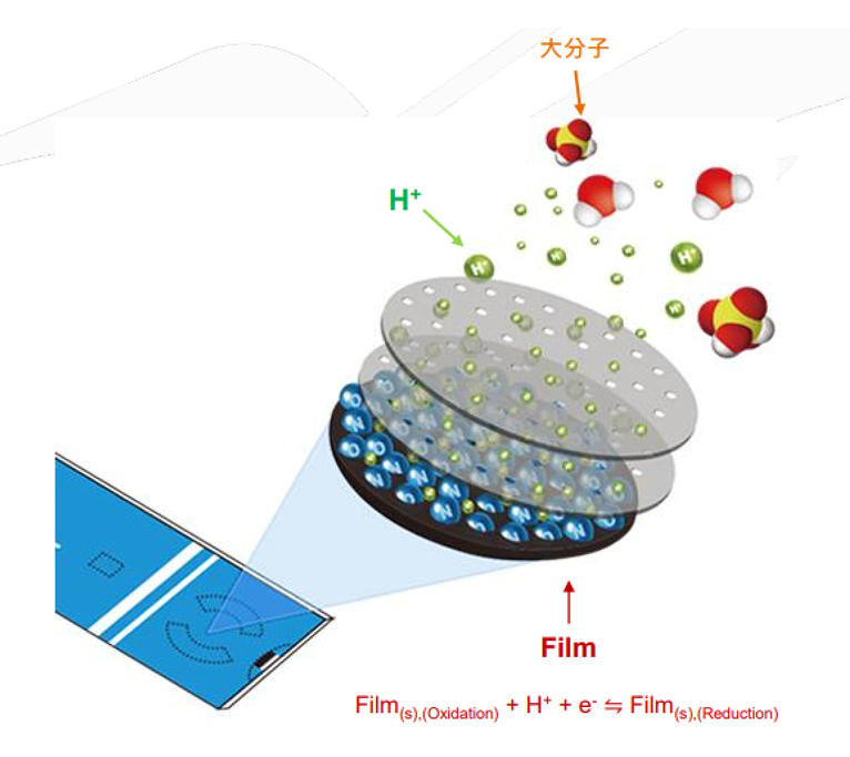 網版印刷pH電極工作原理/拋棄式鹽橋參考電極/免校正拋棄式微量pH電極/蜂鳥探針-超極生技UltraE