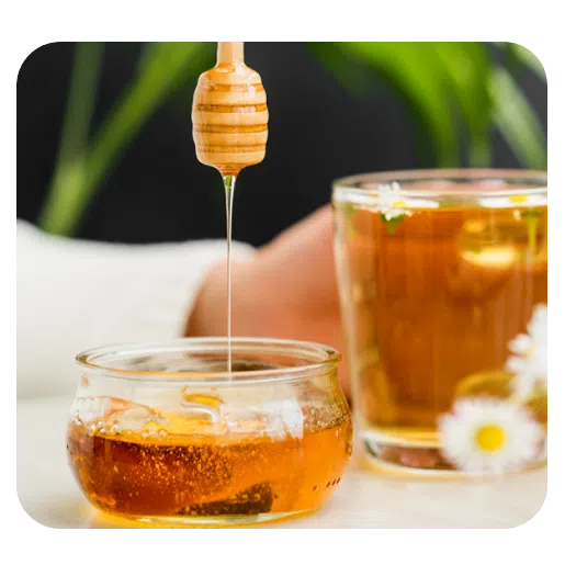 Calibration-free micro disposable pH electrode/Humming Probe pH electrode can be used in viscous samples that are difficult to clean up/Humming Probe UH1/UltraE
                          