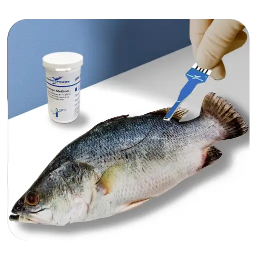 Calibration-free ultramicro disposable pH electrode/Humming Probe pH electrode can be used in living body detection /Humming Probe UH2/UltraE