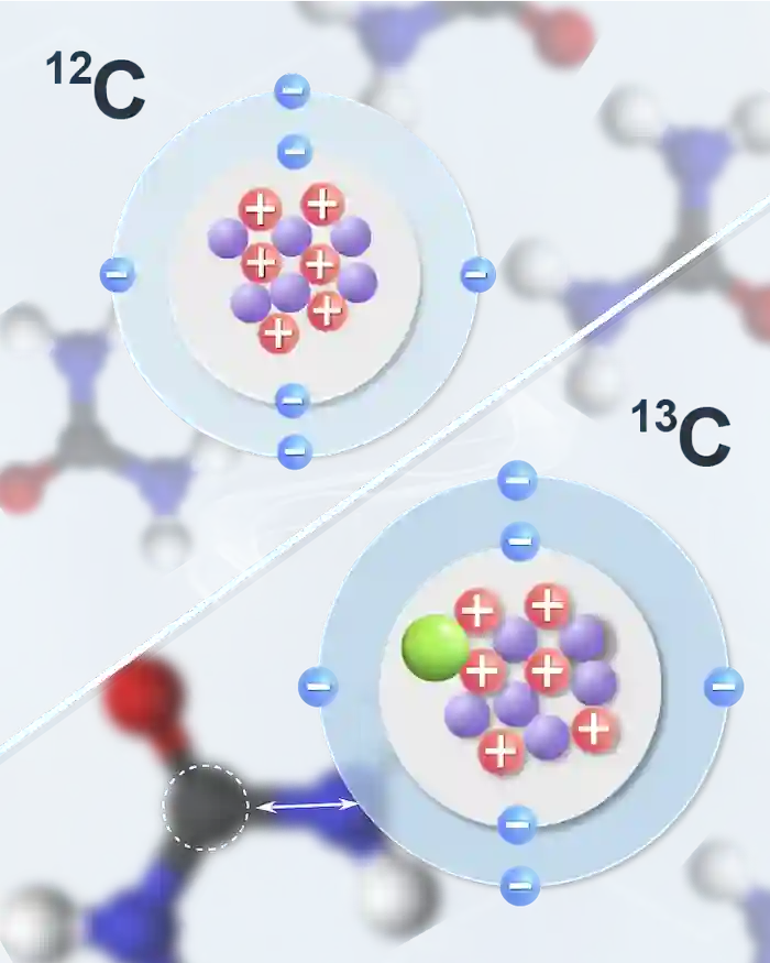 常規尿素替代C13尿素