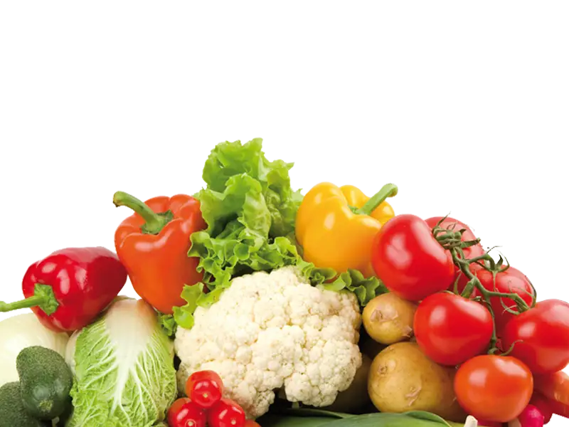 食品與飲料加工業